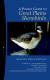 Great Plains Shorebirds - Booklet