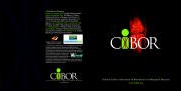 CIBOR - Brochure