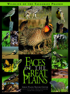 Faces of the Great Plains - Great Plains Nature Center - Poster