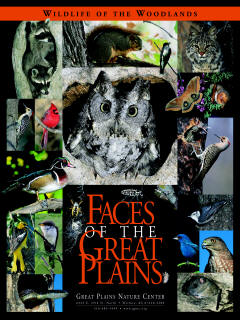 Faces of the Great Plains - Great Plains Nature Center - Poster