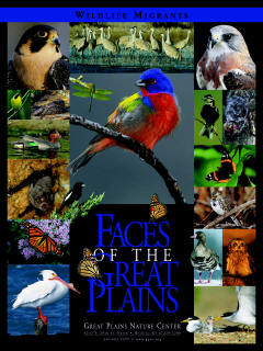 Faces of the Great Plains - Great Plains Nature Center - Poster