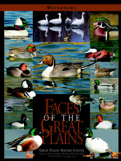 Faces of the Great Plains - Great Plains Nature Center - Poster